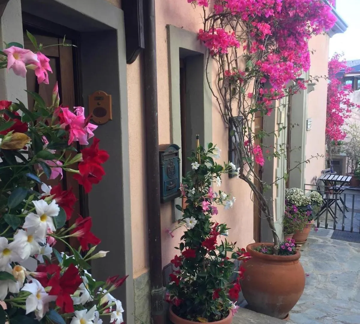 Casa Lina Bouganville Forza dʼAgro
