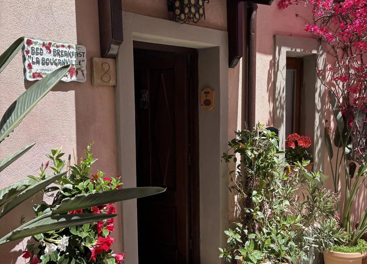 Casa Lina Bouganville Forza dʼAgro
